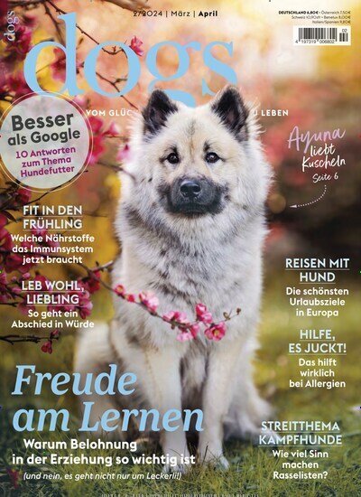 LeseZirkel Zeitschrift Dogs Titelbild